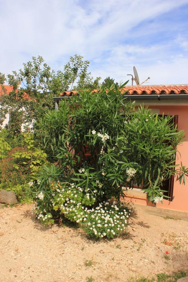 Apartments With A Parking Space Veli Losinj, Losinj - 8029 Zewnętrze zdjęcie